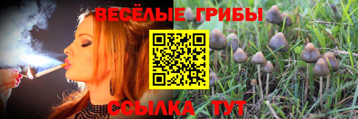 Псилоцибиновые грибы мухоморы Дербент